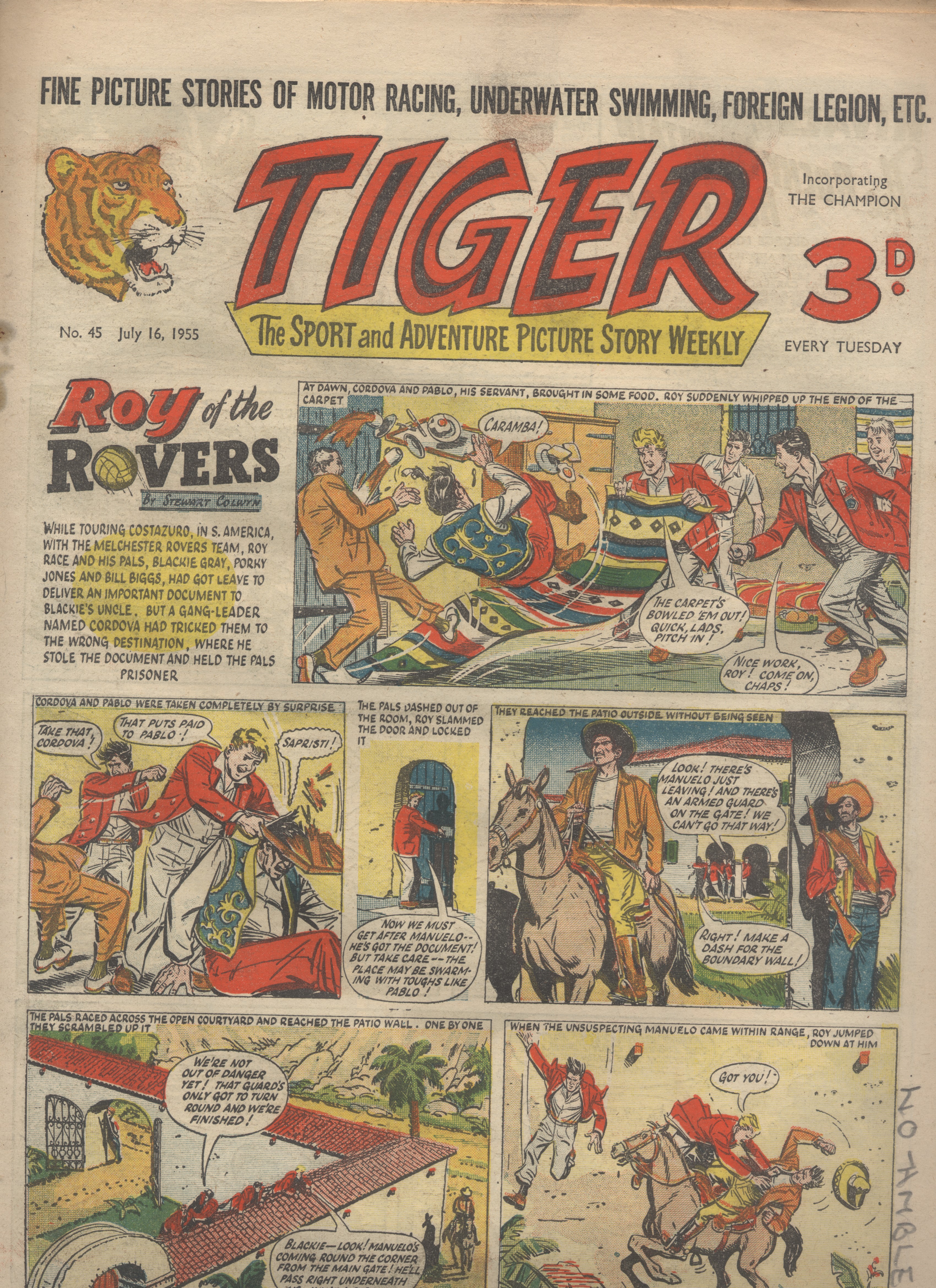 Tiger